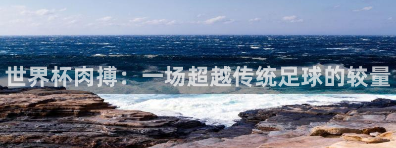 世界杯决赛直播：世界杯肉搏：一场超越传统足球的较量