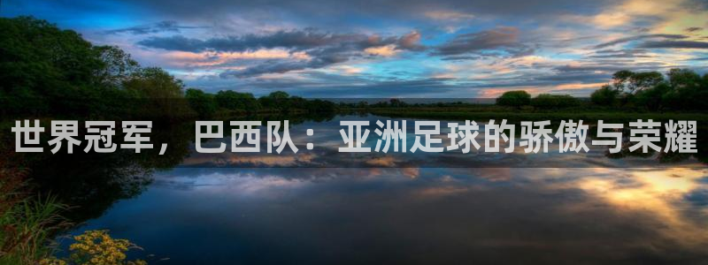 2026世界杯南美区积分榜：世界冠军，巴西队：亚洲足球的骄傲与荣耀