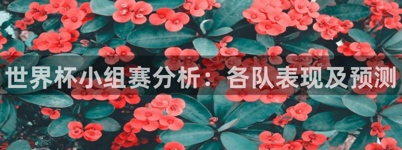 2026世界杯欧洲预选赛赛程表：世界杯小组赛分析：各队表现及预测