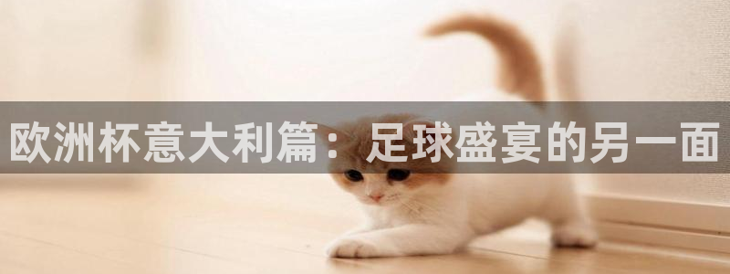 2026世界杯小组赛赛程时间表：欧洲杯意大利篇：足球盛宴的另一面
