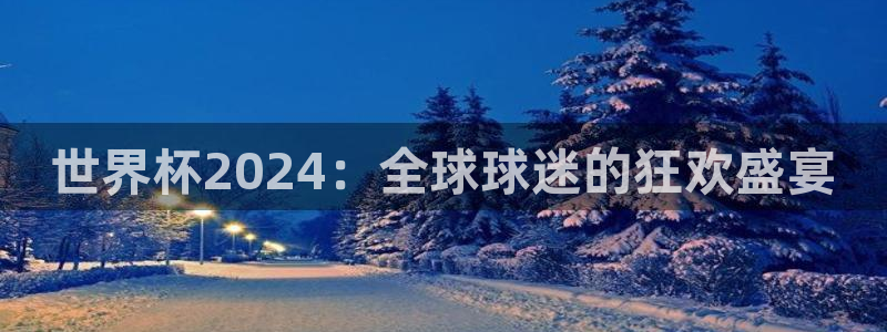 美洲杯直播：世界杯2024：全球球迷的狂欢盛宴
