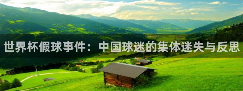 世界杯预选赛直播：世界杯假球事件：中国球迷的集体迷失与反思