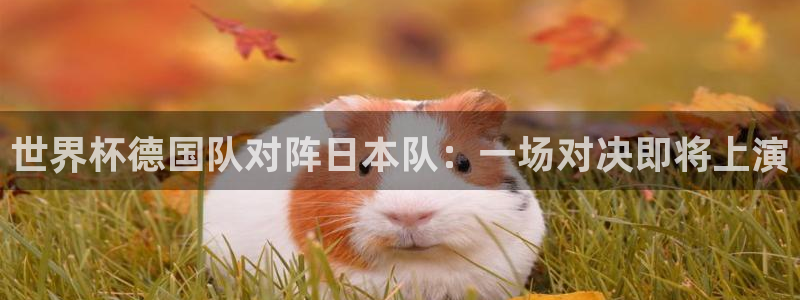 亚洲区世界杯预选赛：世界杯德国队对阵日本队：一场对决即将上演