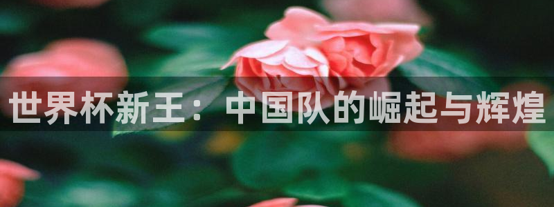 世界杯直播在线观看入口：世界杯新王：中国队的崛起与辉煌