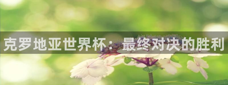 2026年男足世界杯：克罗地亚世界杯：最终对决的胜利