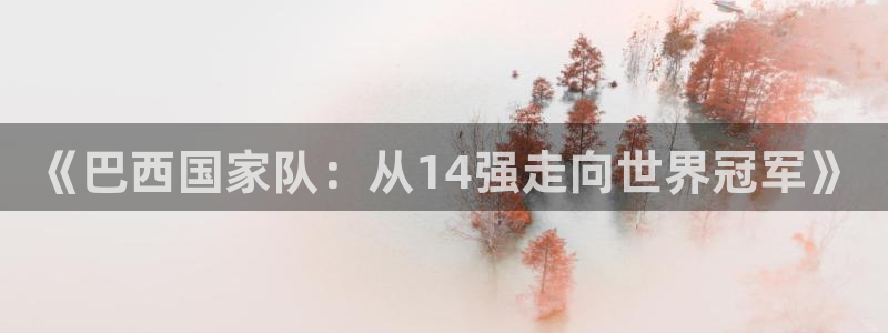 欧洲世界杯预选赛赛程：《巴西国家队：从14强走向世界冠军》