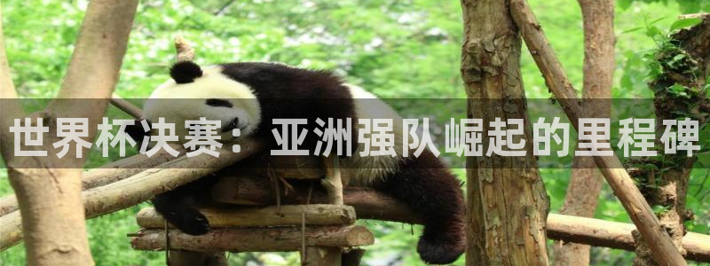 女足世界杯赛程：世界杯决赛：亚洲强队崛起的里程碑