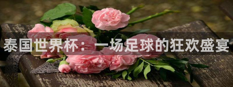2026年世界杯赛程表时间：泰国世界杯：一场足球的狂欢盛宴