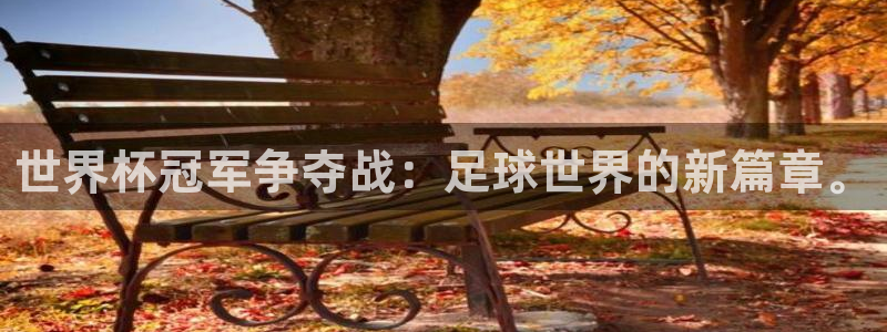 世界杯预选赛排名：世界杯冠军争夺战：足球世界的新篇章。