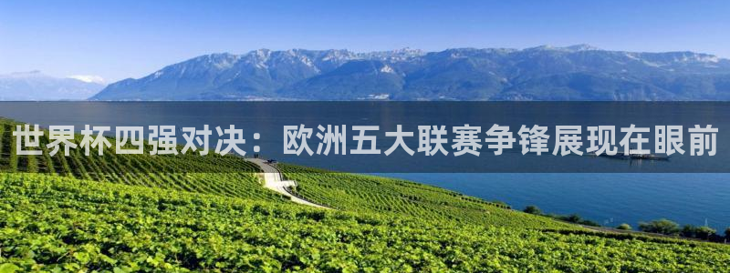 世界杯足球比赛：世界杯四强对决：欧洲五大联赛争锋展现在眼前