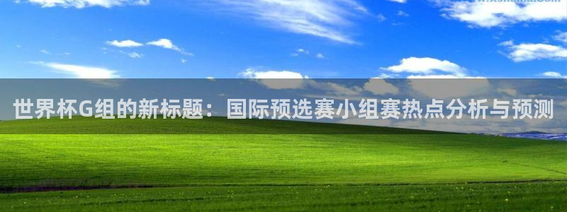 世界杯足球：世界杯G组的新标题：国际预选赛小组赛热点分析与预测